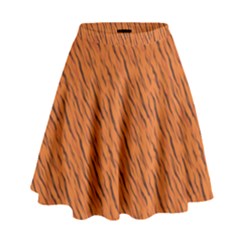 Animal Skin - Lion And Orange Skinnes Animals - Savannah And Africa High Waist Skirt by DinzDas