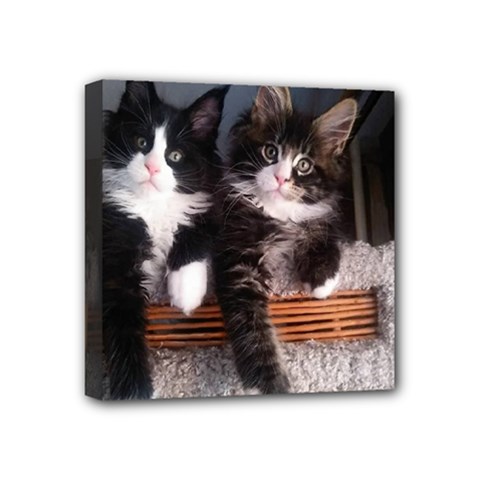 Cats Brothers Mini Canvas 4  X 4  (stretched) by Sparkle