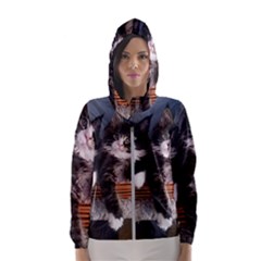Cats Brothers Women s Hooded Windbreaker by Sparkle