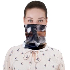 Cats Brothers Face Covering Bandana (adult) by Sparkle