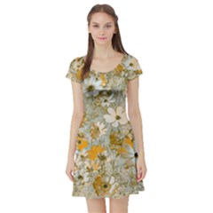 Cosmos Flowers Sepia Color Short Sleeve Skater Dress by DinkovaArt