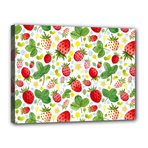 Huayi-vinyl-backdrops-for-photography-strawberry-wall-decoration-photo-backdrop-background-baby-show Canvas 16  X 12  (stretched) by Sobalvarro