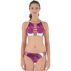 Fun Fuschia Perfectly Cut Out Bikini Set by Janetaudreywilson