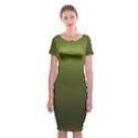 Army Green Gradient Color Classic Short Sleeve Midi Dress View1