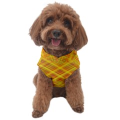 Orange Madras Plaid Dog Sweater by SpinnyChairDesigns