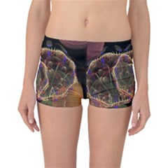 Fractal Geometry Boyleg Bikini Bottoms by Sparkle