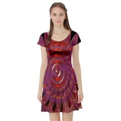 Chakra Flower Short Sleeve Skater Dress by Sparkle