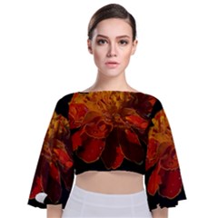 Marigold On Black Tie Back Butterfly Sleeve Chiffon Top by MichaelMoriartyPhotography
