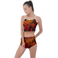 Marigold On Black Summer Cropped Co-ord Set