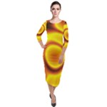 Golden Honey Quarter Sleeve Midi Velour Bodycon Dress