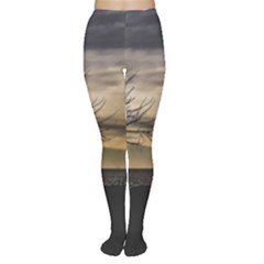 Coastal Sunset Scene At Montevideo City, Uruguay Tights by dflcprintsclothing