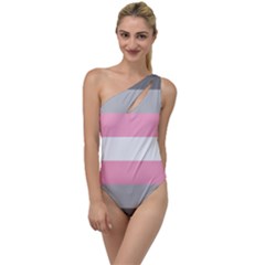 Demigirl Pride Flag Lgbtq To One Side Swimsuit by lgbtnation