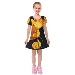 Yellow Poppies Kids  Short Sleeve Velvet Dress by Audy