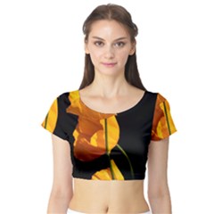 Yellow Poppies Short Sleeve Crop Top by Audy