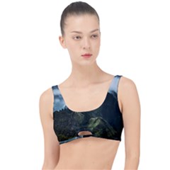 Blue Whales Dream The Little Details Bikini Top by goljakoff