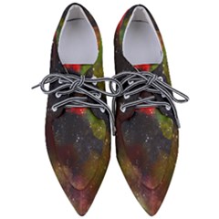 Color Splashes Pointed Oxford Shoes by goljakoff