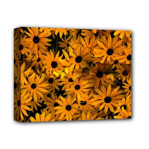 Rudbeckias  Deluxe Canvas 14  X 11  (stretched) by Sobalvarro