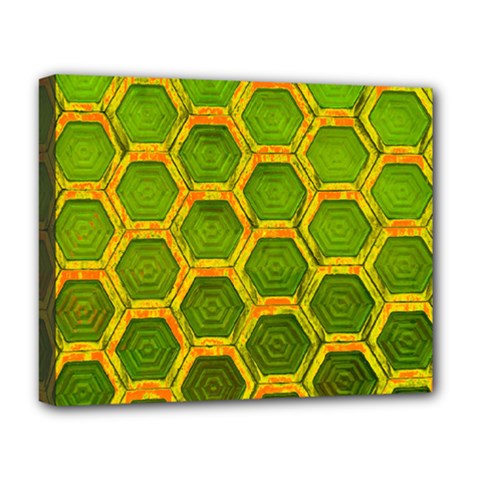 Hexagon Windows Deluxe Canvas 20  X 16  (stretched) by essentialimage