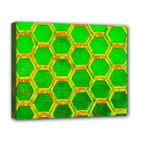 Hexagon Windows Deluxe Canvas 20  X 16  (stretched) by essentialimage