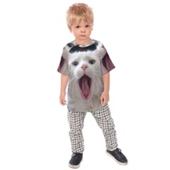 Wow Kitty Cat From Fonebook Kids  Raglan Tee