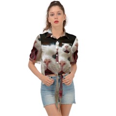 Wow Kitty Cat From Fonebook Tie Front Shirt  by 2853937