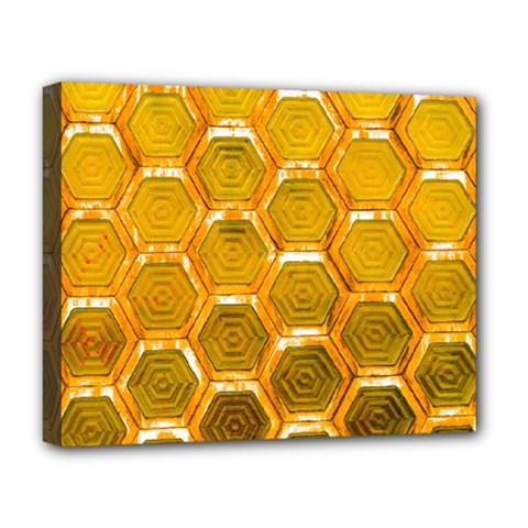 Hexagonal Windows Deluxe Canvas 20  X 16  (stretched) by essentialimage365