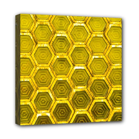 Hexagon Windows Mini Canvas 8  X 8  (stretched) by essentialimage365