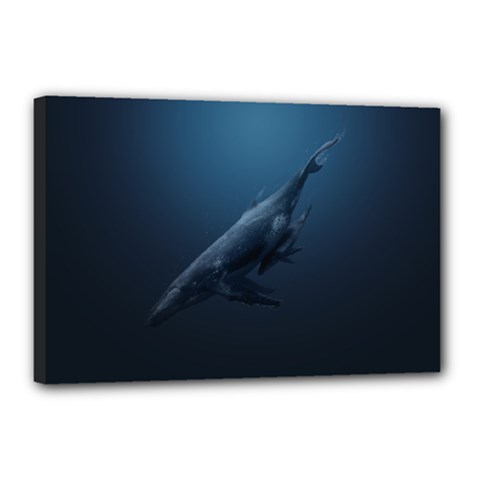 Blue Whales Canvas 18  X 12  (stretched) by goljakoff