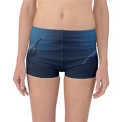 Blue Whales Reversible Boyleg Bikini Bottoms by goljakoff