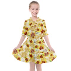 Lonely Flower Populated Kids  All Frills Chiffon Dress by JustToWear