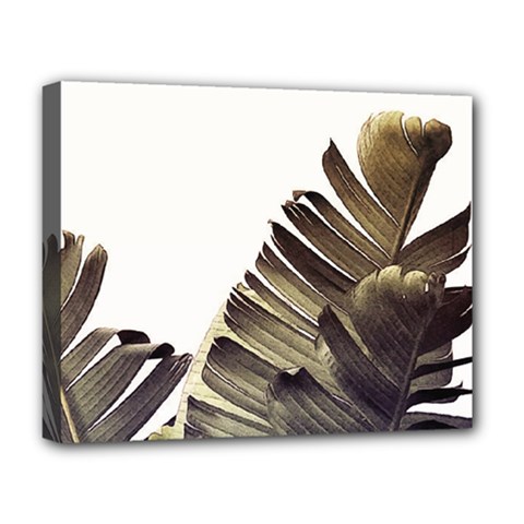 Vintage Banana Leaves Deluxe Canvas 20  X 16  (stretched) by goljakoff