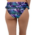 Technophile s Bane Frill Bikini Bottom View2