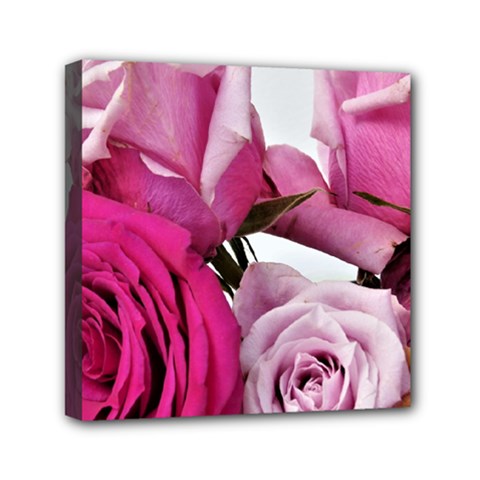 Magenta Roses Mini Canvas 6  X 6  (stretched) by kaleidomarblingart