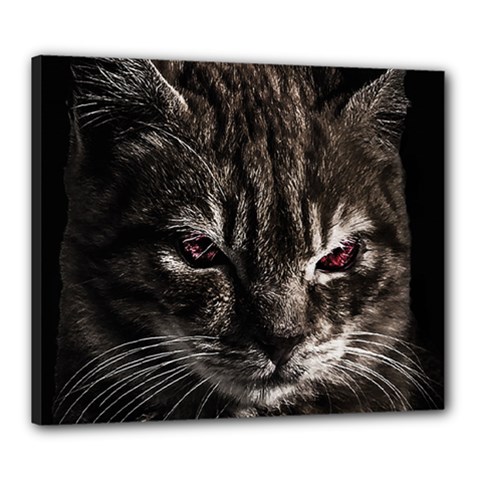 Creepy Kitten Portrait Photo Illustration Canvas 24  X 20  (stretched) by dflcprintsclothing