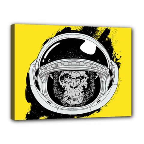 Spacemonkey Canvas 16  X 12  (stretched) by goljakoff