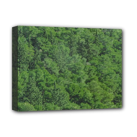 Leafy Forest Landscape Photo Deluxe Canvas 16  X 12  (stretched)  by dflcprintsclothing