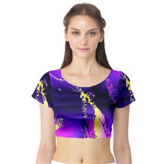 Garth Short Sleeve Crop Top by MRNStudios