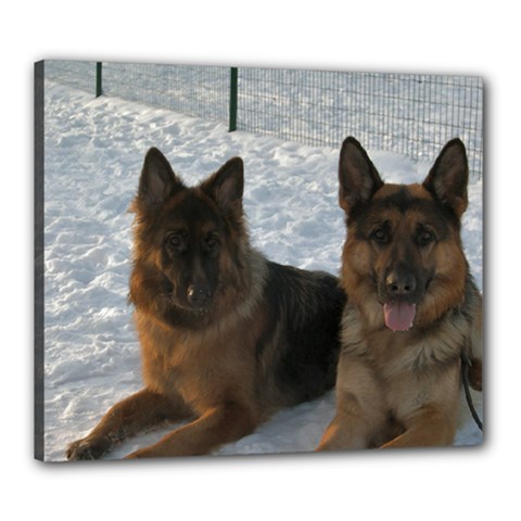 2 German Shepherds Canvas 24  X 20  (stretched) by SomethingForEveryone