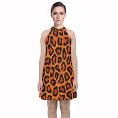 Leopard-print 3 Velvet Halter Neckline Dress  by skindeep