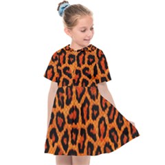 Leopard-print 3 Kids  Sailor Dress by skindeep