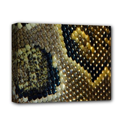 Leatherette Snake 2 Deluxe Canvas 14  X 11  (stretched) by skindeep