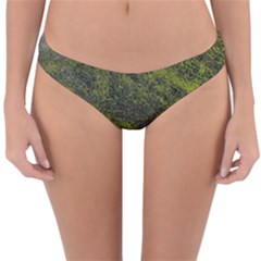 Cracked Leather 2a Reversible Hipster Bikini Bottoms