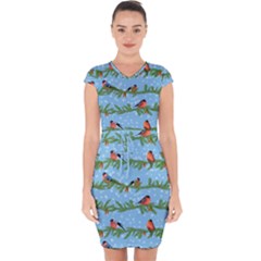 Bullfinches On Spruce Branches Capsleeve Drawstring Dress  by SychEva