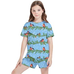 Bullfinches On Spruce Branches Kids  Tee And Sports Shorts Set by SychEva