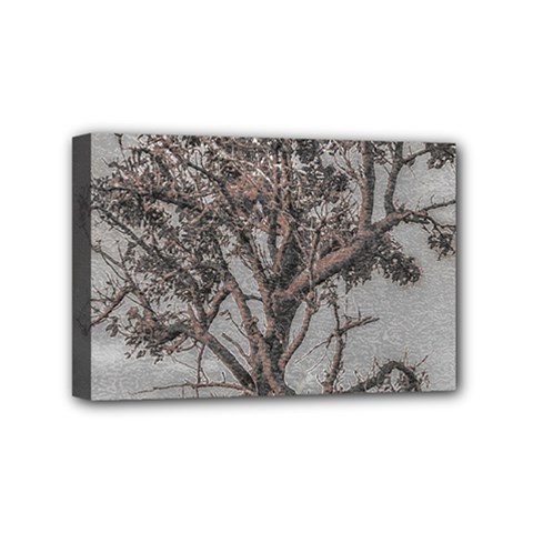 Big Tree Photo Illustration Mini Canvas 6  X 4  (stretched) by dflcprintsclothing