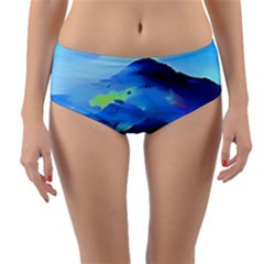 Moon Mountains Reversible Mid-waist Bikini Bottoms by Dazzleway