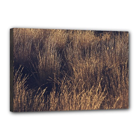 Field Of Light Pattern 1 Canvas 18  X 12  (stretched) by DimitriosArt