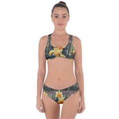 Sunny Day Criss Cross Bikini Set by thedaffodilstore