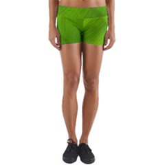 Banana Leaf Yoga Shorts by artworkshop