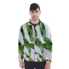 Sheets Tropical Plant Palm Summer Exotic Men s Windbreaker by artworkshop